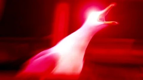 GHSa9glb6vEgSdwu.jpg