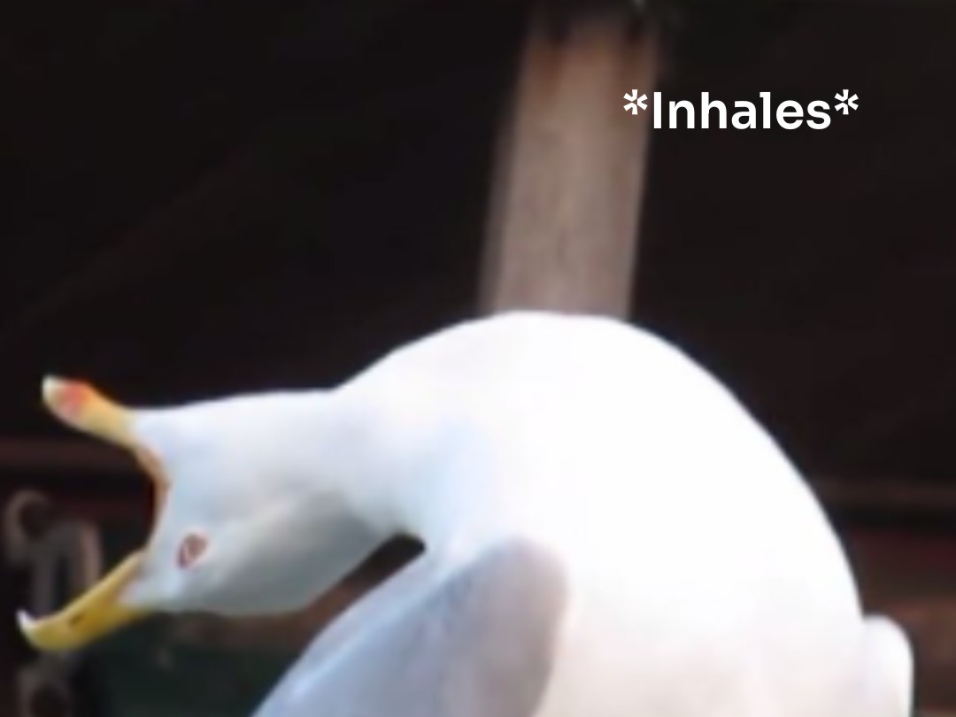 r3lHyVsbkofIYkCl.jpg