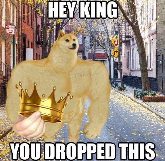 5bAVVHbFJWD9qVnv.jpg