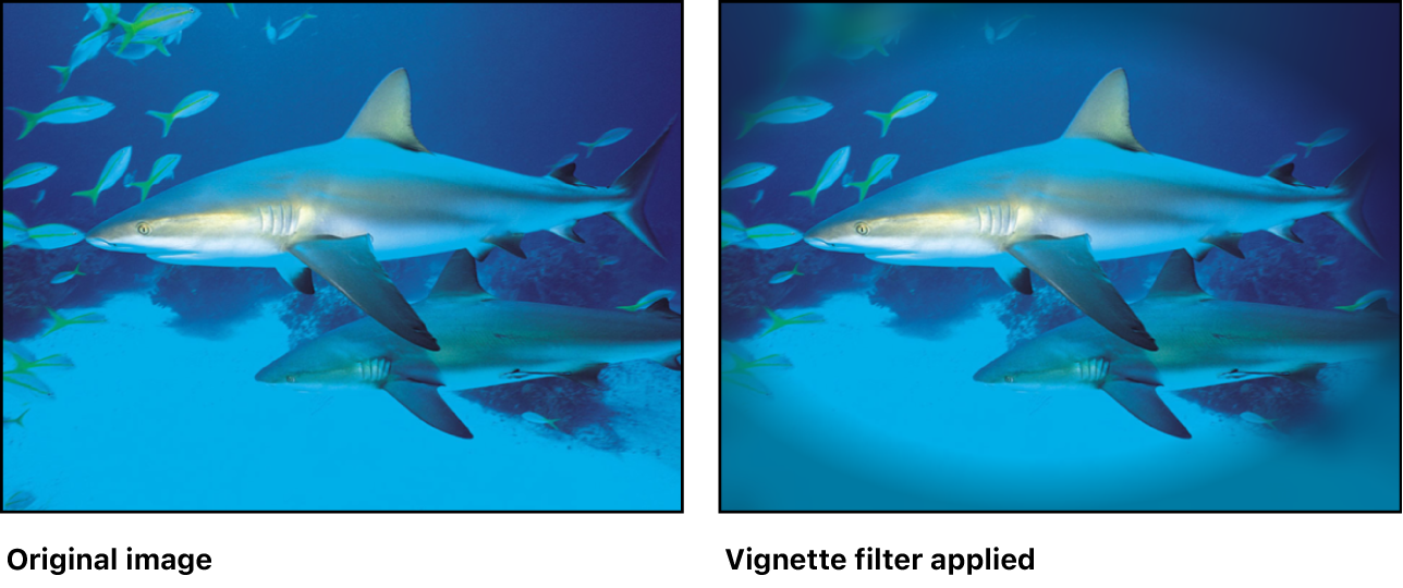 vFLnNq9wxjTBYQeY.png