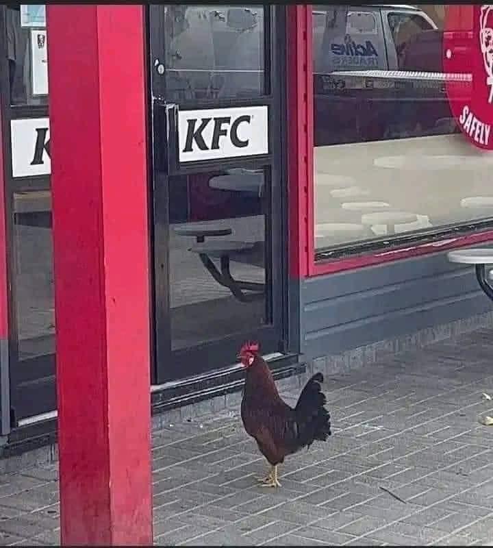 0YfEVpwsCtvpt5ev.jpg