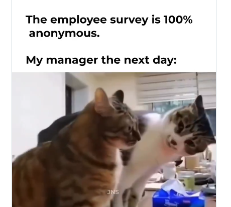 T4YblJ9jB1h3hBwk.png