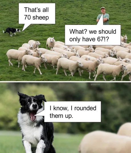 THh7VhYZHB8GJaB5.jpg