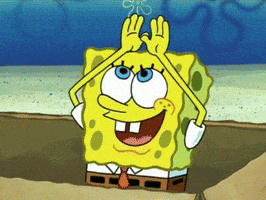 7QtzZo3bhenTEFWZ.gif