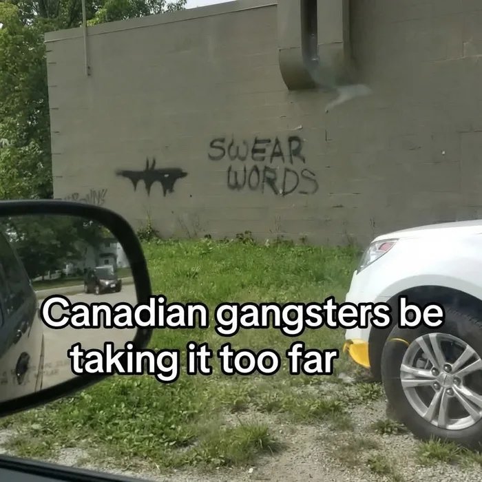 4XC8BTcUD8qohWwT.jpg