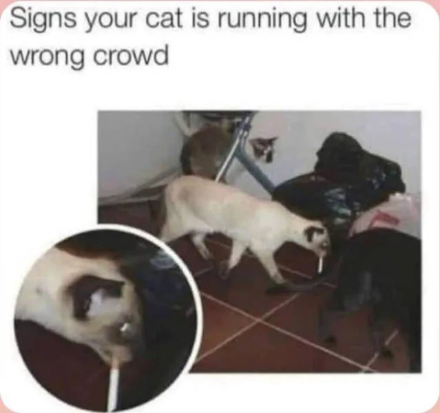 6RyZi8eFO66hc0fI.jpg