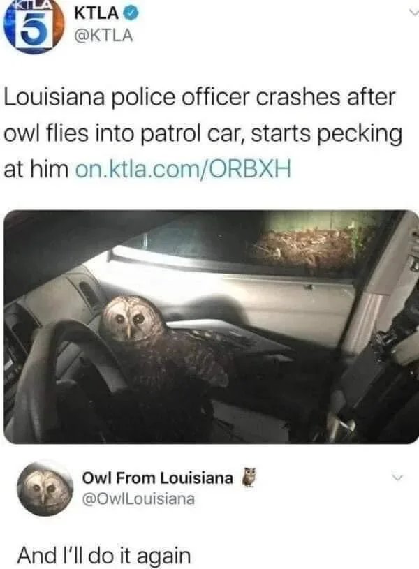 7kLZB0PxTaiCOadO.jpg