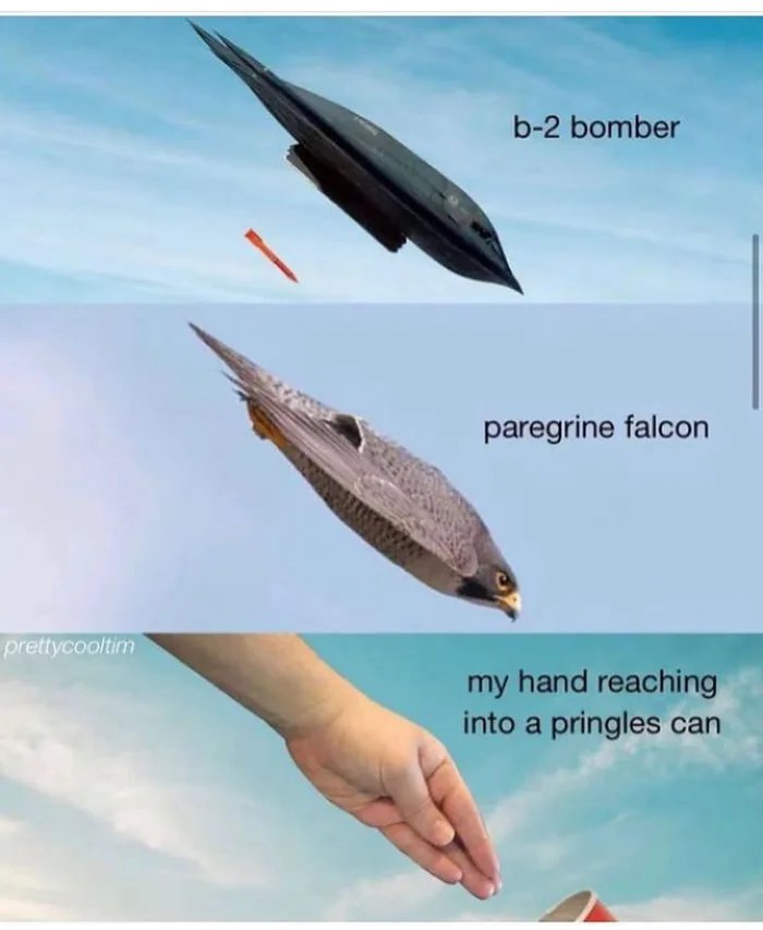 BQZaHLMd5chiGBAq.jpg