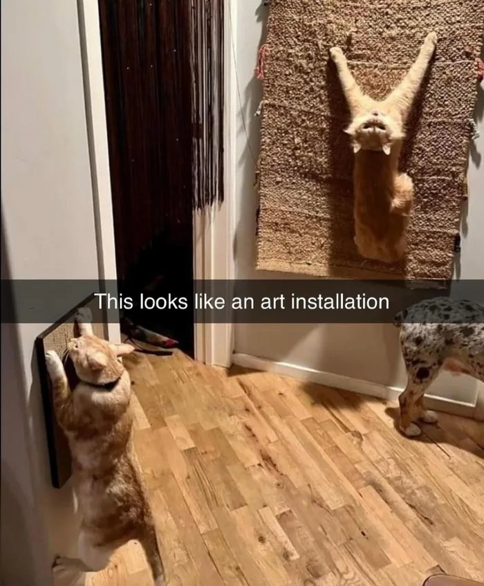 BjkwlHZIF11uQkuQ.jpg
