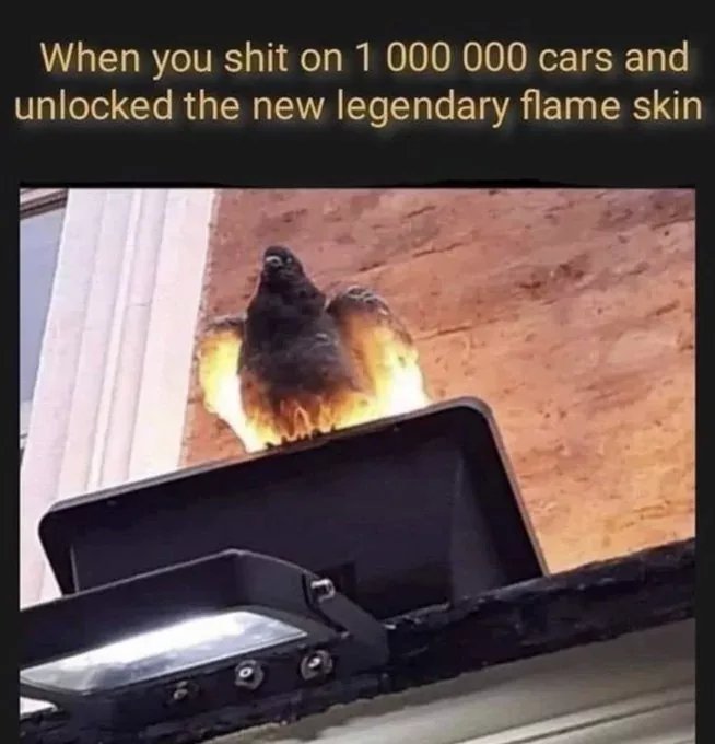 CJqsbERsW1Cqiv8t.jpg