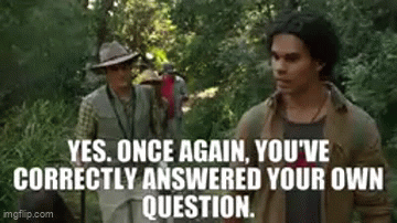 LDVr2DAPMK4QXl1C.gif