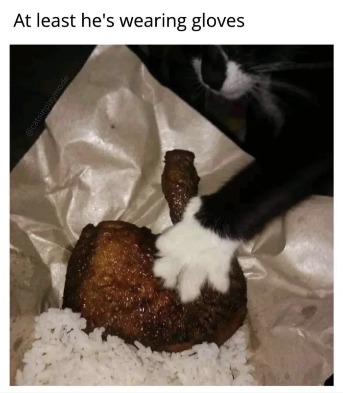 QYPLeys3IOIdLeDl.jpg