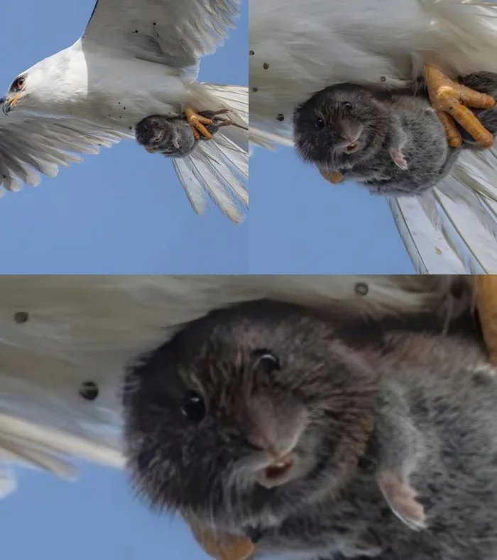 XknvnWXKGQUD71Vs.jpg