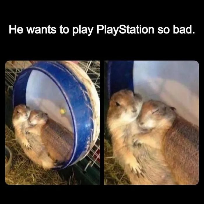 aGJGWTGnMFTVGw9T.jpg