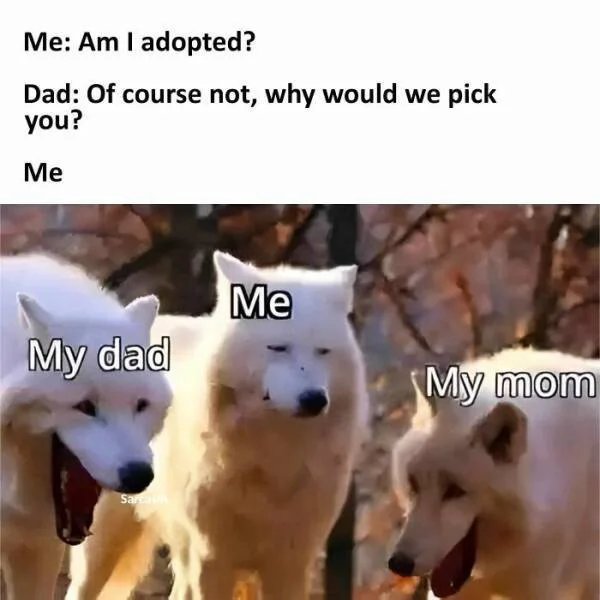 crW6CeDpb2FQy2Qd.jpg
