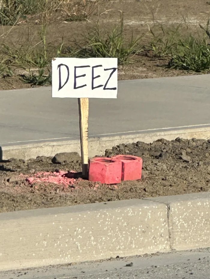 dFfamSBaPKxNPRqG.jpg