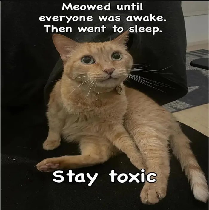 n5tZM6tqo9xx0o5j.jpg
