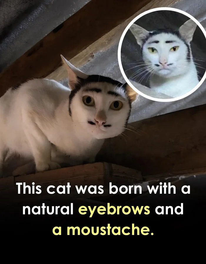 oyxxNhDXpGOZnhvm.jpg