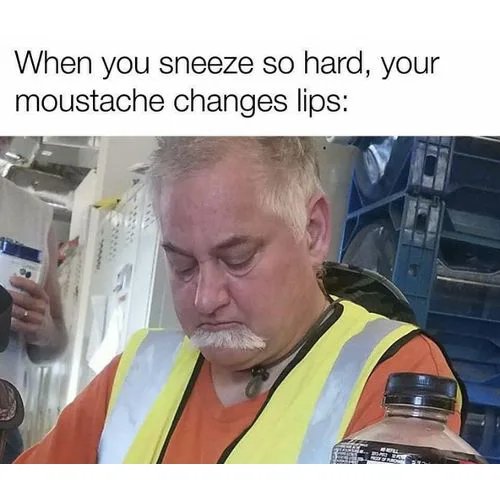 p4rqBnl0PyFzHn4J.jpg