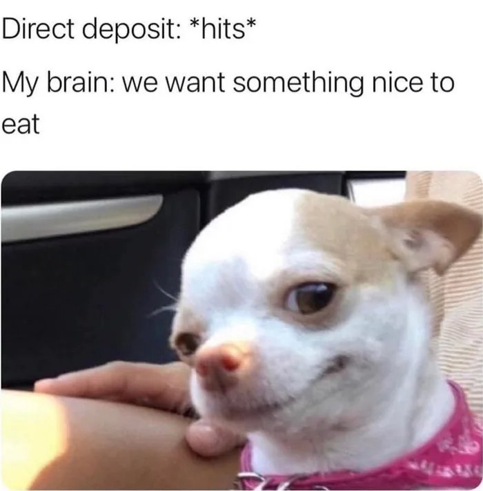 s9wn6aCXJPSMieX1.jpg