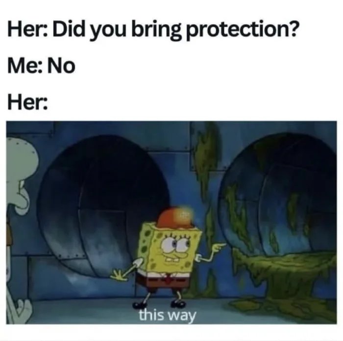 sJo36BlK4XY7yYML.jpg