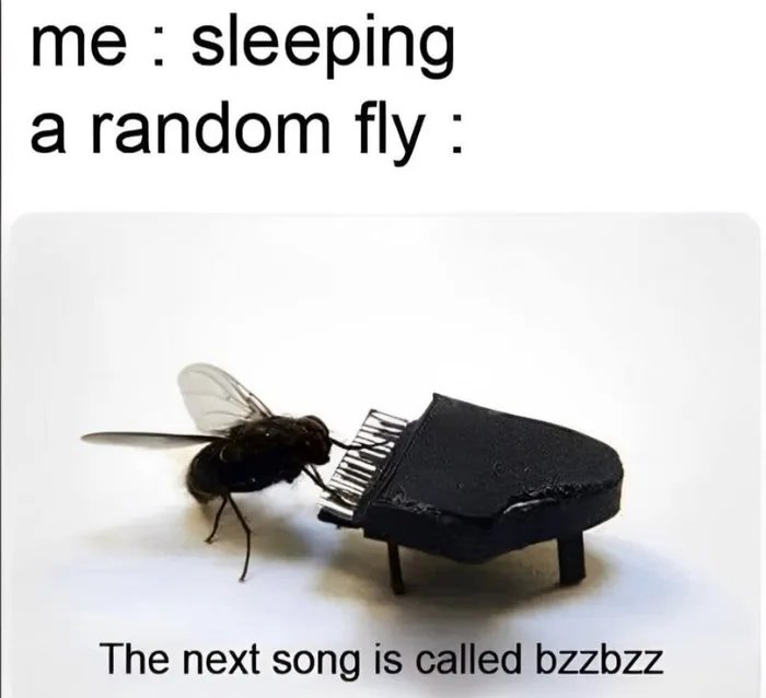 xc29ozz0N9al0uxf.jpg
