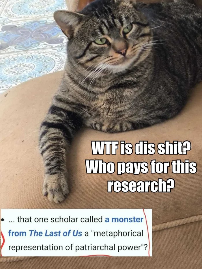 yRl6Zcqz8ySU8Ylm.jpg