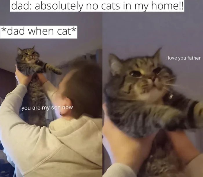 zA6cW1ffW3NT1UIy.jpg