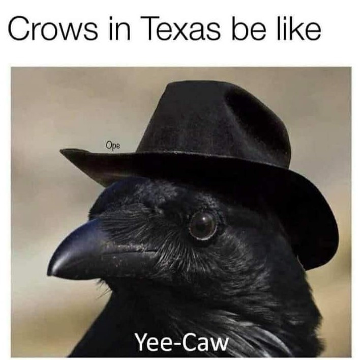 6Xn9GuZWjHbrlWL8.jpg