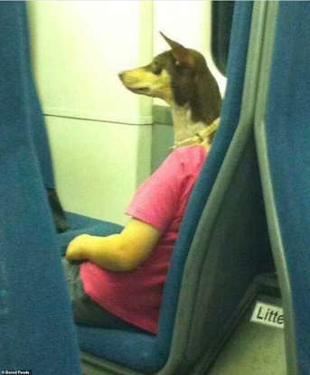 BePwUNrFqwYCaMoS.jpg