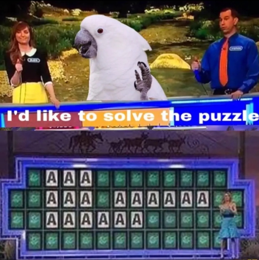 CWjb1EY6CqtrJn9M.jpg