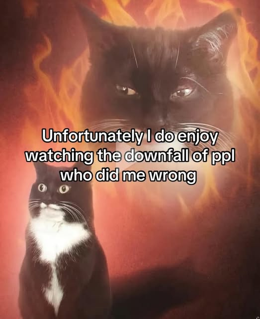 Wi6tJ5lkadBwwa1N.png