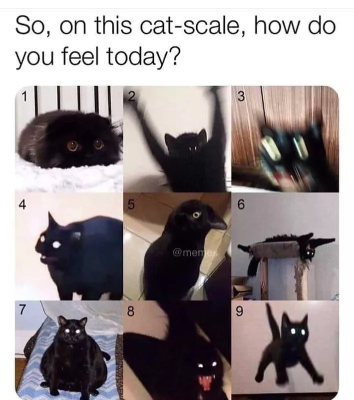 l5aOjMcdzCwgSrHe.jpg