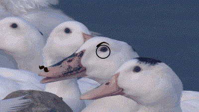 osRzAnlKhZf53n7h.gif