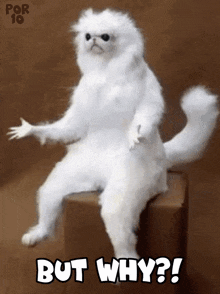 8hXjQkC834oi1AOV.gif