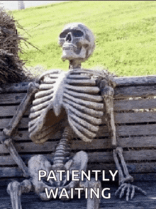 qaqHUuHP0fQ2dZVx.gif