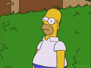 wn228kwUVamSJQSn.gif