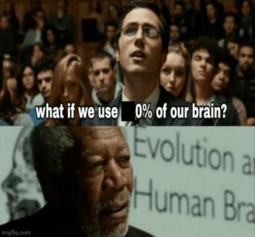 yoh0KEnIZzOQKk1S.jpg