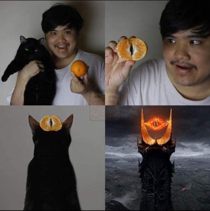 WpCVdDjVoH6RqgO2.jpeg
