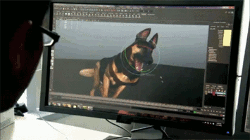 a7LOsdqSeXDppsfc.gif