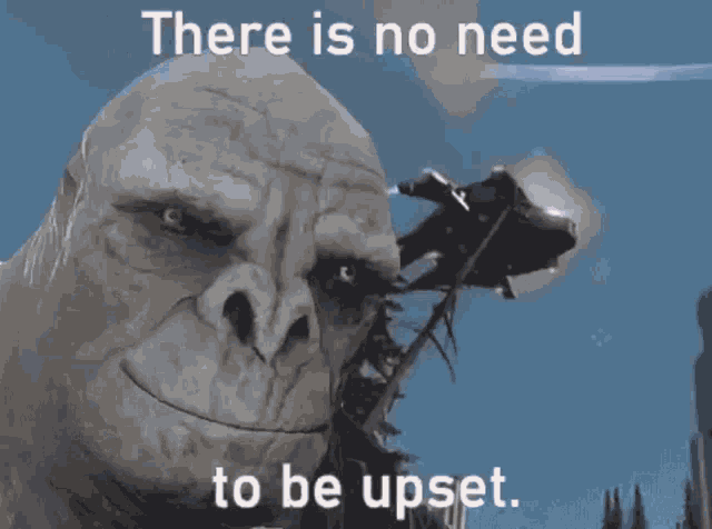yQVcY4DN8dBi96ZX.gif