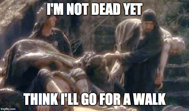 Izj7sYQO5oC9TRRA.jpg