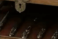 AggBTWs4Ut2opI4Z.gif