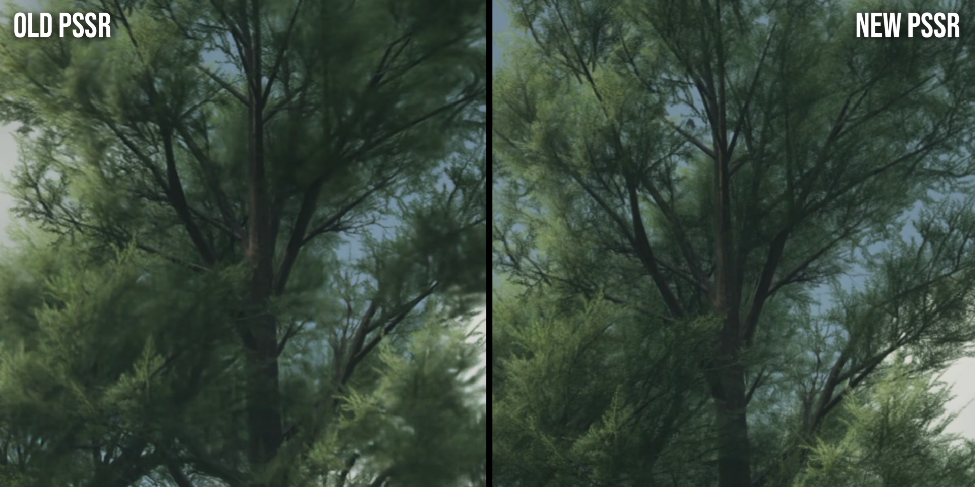 Fj66kBr4b0cIrS0J.png