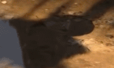 GlL5E3iU7jyZeqBe.gif