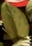 V5xvlFxDAEb8RcRy.gif