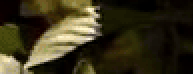 ssBV9Ocdlhj7BjgV.gif
