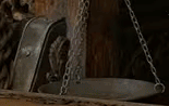xtQc9Btr8DDHaSgV.gif