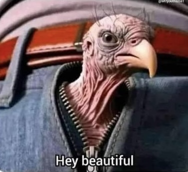 CazMtJ1Y7eWpZp8O.jpeg