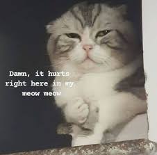 P2qFJNGJ9nlLtw3a.jpg
